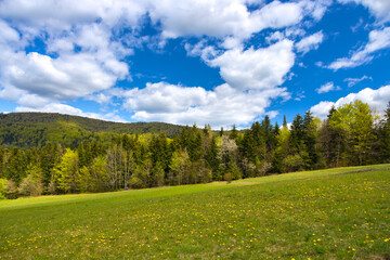 Beskid Niski na wiosnę. © Jacek