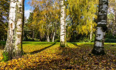 Landschaft und Parks in und um Berlin, Deutschland