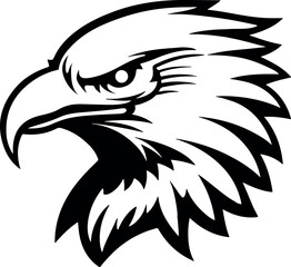 Bald Eagle Vector Illustration