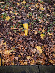 Edinburgh, Scotland, United Kingdom