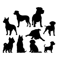 Dog Silhouettes: A collection of dog silhouettes, each capturing a unique breed and posture. Perfect for pet lovers, dog walkers, and animal enthusiasts.  