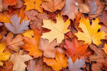Obraz premium A vibrant collection of fallen autumn leaves in shades of orange, yellow, and brown, creating a warm seasonal tapestry.