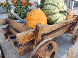 Wooden cart with pumpkins, autumn decoration