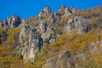 Autumn colors in the mountain forest. Wachau valley and vine yards in Austria. Rock formations in the yellow leaves autumn colored forest
