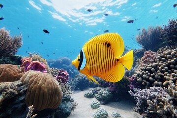 Naklejka premium A vibrant yellow butterfly fish swims gracefully amidst colorful coral reef.