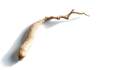 Dried Twisted Branch Isolated On White Background