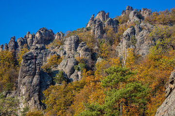 Autumn colors in the mountain forest. Wachau valley and vine yards in Austria. Rock formations in the yellow leaves autumn colored forest