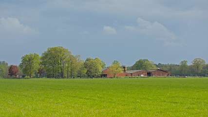  Fresh green meadow with farm and trees on a cloudy spring day near Turnhout, Flanders, Belgium 