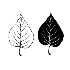 Linear sketch, stamp, silhouette of leaves. Simple botanical elements. Vector graphics.