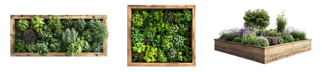Set of a wooden raised garden bed with plants and trees, isolated on a transparent background.