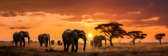 Fototapete Rund Stunning Spectacle of Africa's Wild - Herd of Elephants, Family of Lions and Flock of Flamingos © Eva