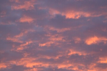 Obraz premium Pink clouds glare from the sunset.