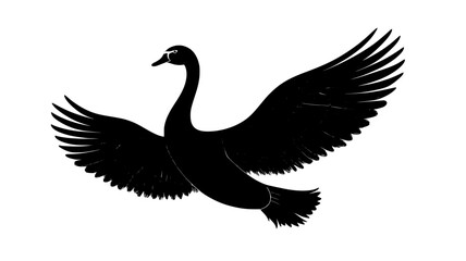 Obraz premium Swan stretches its wings, flapping gently as it prepares to take flight, Animal Illustration