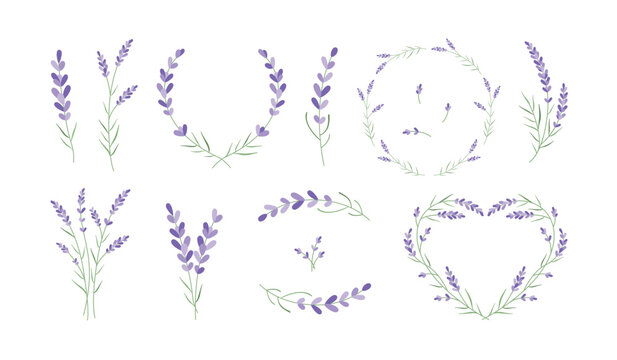 Provence lavender flowers. Delicate floral wreath frames, hand drawn lavender branches and flowers. Botanical decor for wedding invitations and greeting cards designs. Vector set.