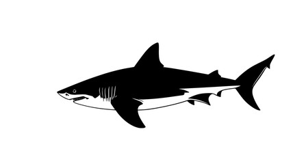 Fototapeta premium Shark circling around a small coral reef, tail moving rhythmically, Animal Digital Art