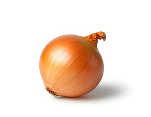 onion, isolated on white background