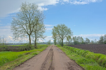 Dirt road along spring farmland in the countryside near Turnhout, Flanders, Belgium