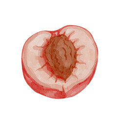 Juicy, ripe fruits of peach, nectarine. Vector graphics.