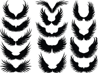 fourteen wings isolated on white background