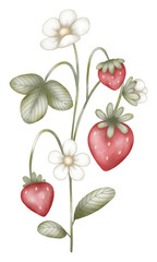Corona de Frutillas Frescas con Flores y Hojas Verdes - Diseño Natural y Decorativo