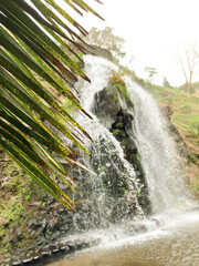 Close-up of green palm leaves with a cascading waterfall in the background