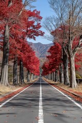 Metasequoia namiki road leading to stunning autumn foliage in shiga prefecture, japan