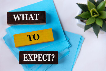 WHAT TO EXPECT? - words on wooden blocks on a light background with a cactus