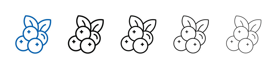 Cranberry icon Outline vector logo for web ui