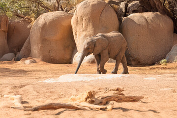 Obraz premium Generated image