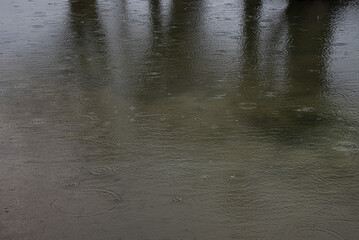 Water Droplets on the Ground, Fresh Natural Detail