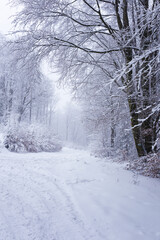 Krajobraz zimowy w górach, białe zaśnieżone drzewa, zimowe tło, tapeta	