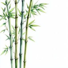 Naklejka premium Bamboo watercolor illustration isolated on transparent. png file for art work. 