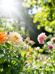 Sunlit garden with vibrant blooming flowers.
