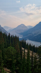 Peyto Lake in Banff National Park, Alberta. Glacier-fed lake with a unique wolf-head shape and vivid turquoise color. In Canadian Rockies, a popular tourist viewpoint along the Icefields Parkway.