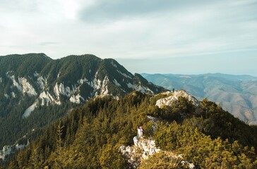 In a breathtaking landscape, adventurous hikers traverse rocky paths surrounded by lush greenery...