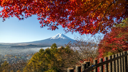 Mount Fuji, Japan - November 22 2024: The famous fuji mountain in during clear morning daylight with red autumn japanese maple leaves and no clouds. beautiful scenery famous travel vacation place