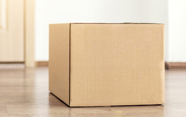 Parcel Delivery. Cardboard Box Lying On Floor Near Door Of Customer's House. Modern Shopping And Courier Delivering Service Conceptual Advertisement Banner. No People, Panorama With Copy Space