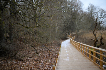Wooden pedestrians passage in wilderness among trees and reed in winter, moody atmosphere