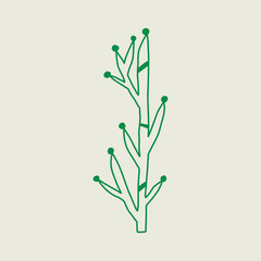 Minimalist Green Plant Illustration