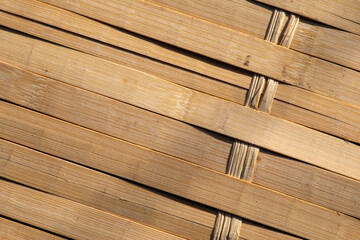 Bamboo texture