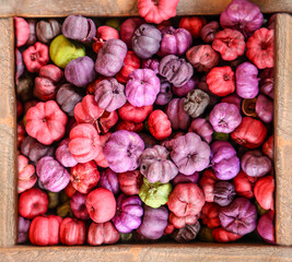 Viele bunte getrocknette Blüten.