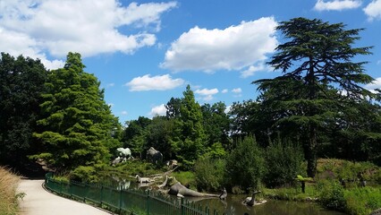 Fototapeta premium landscape with trees