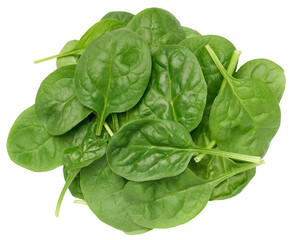 Bunch of fresh green spinach leaves on isolated background