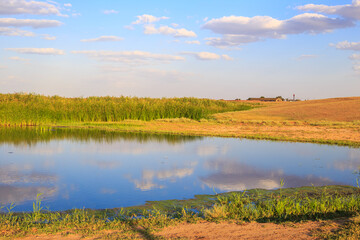 Summer calm sunny landscape. Blue lake with reeds and blue sky with clouds in the countryside
