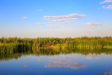 Summer sunny landscape. Blue lake with reeds in the steppe in which white clouds in the sky are reflected