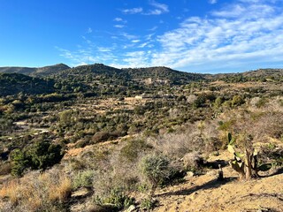 landscape near the city of Badalona in December