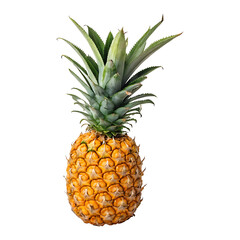 Fototapeta premium Ripe pineapple with green leaves