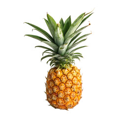 Ripe pineapple with green leaves