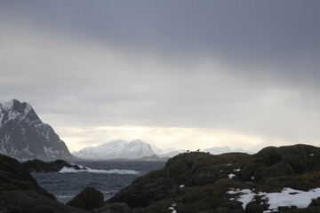 Uccelli su una roccia durante una tempesta a Svolvaer sulle isole Lofoten. Norvegia del nord. 