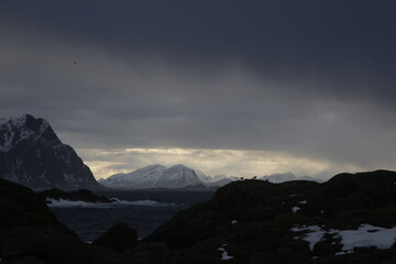 Obraz premium Uccelli su una roccia durante una tempesta a Svolvaer sulle isole Lofoten. Norvegia del nord. 